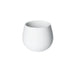 Loveramics Brewers Coffee Cups + Jug Collection (Carrara White)